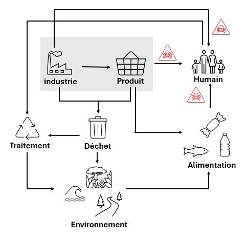 Schéma de la pollution par les PFAS